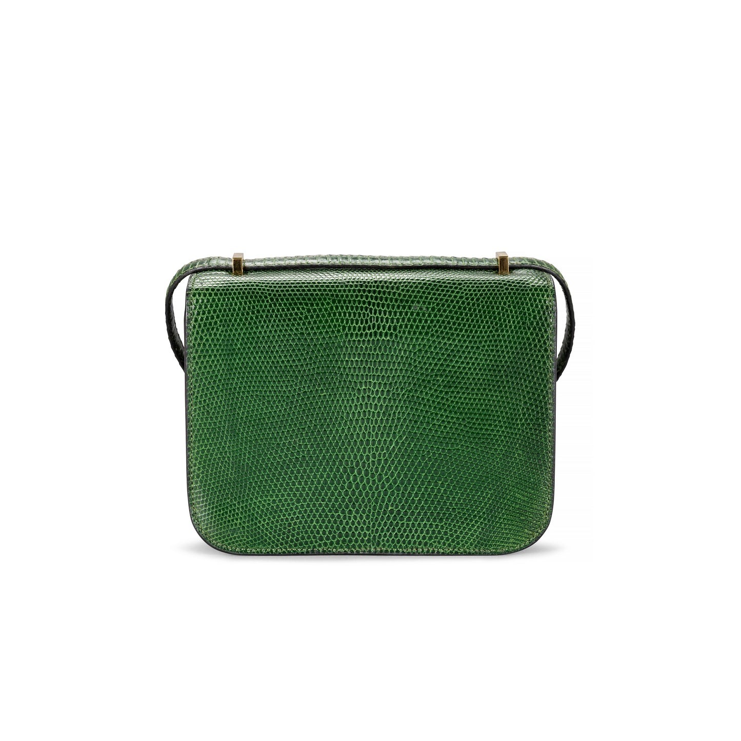 A SALVATOR LIZARD MINI CONSTANCE 18 WITH GOLD HARDWARE